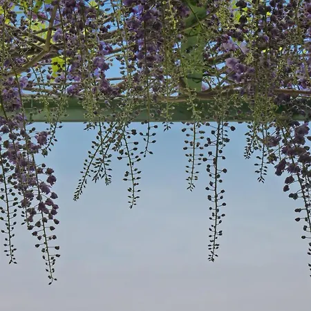 Vernazzano Basso Sleeps 16 Pool Wifi تورو سول تراسيمينو